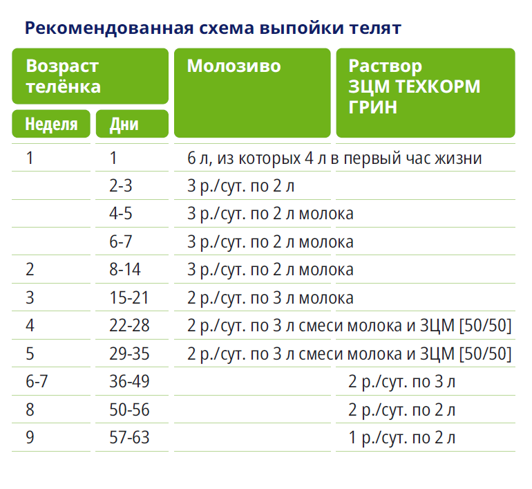 выпойка телят ЗЦМ Грин