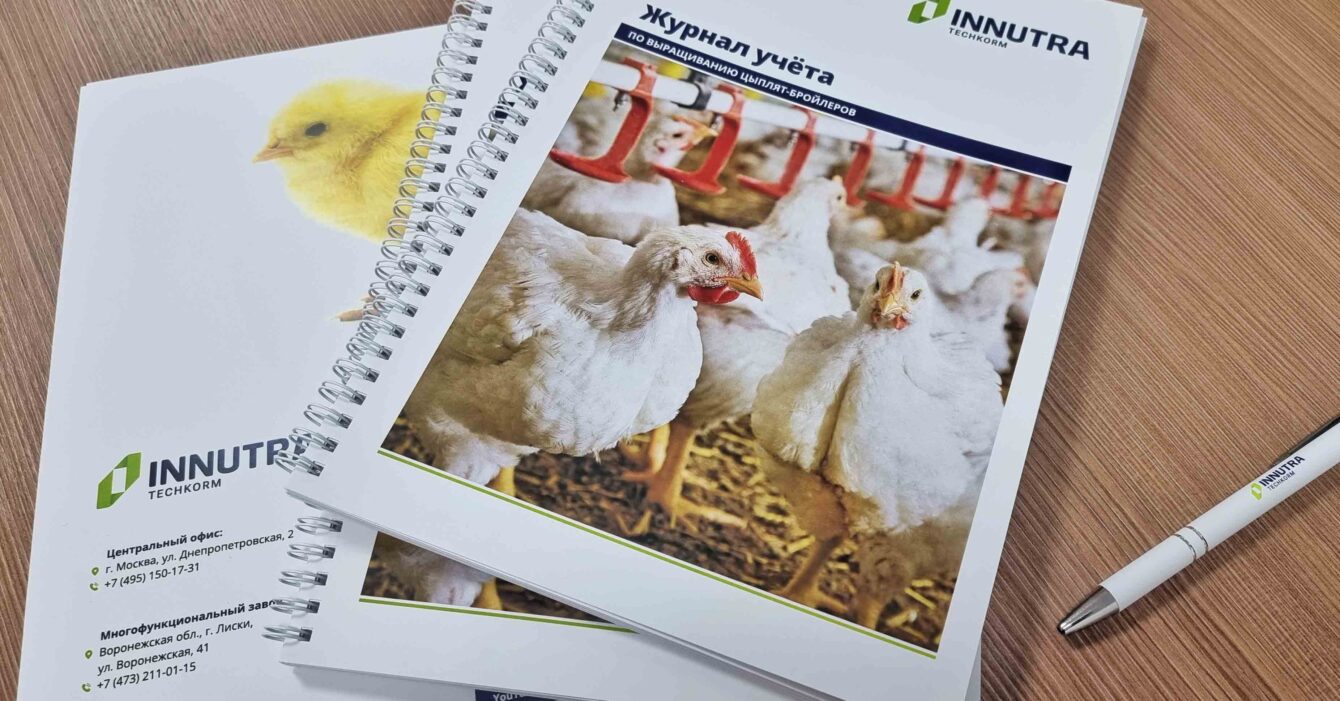 Журнал учета по выращиванию цыплят-бройлеров