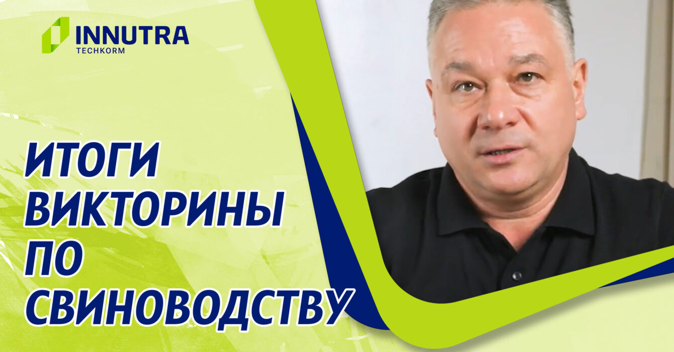 итоги викторины по свиноводству итоги викторины по свиноводству
