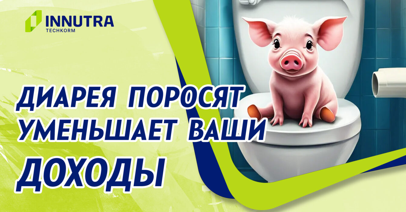 Неонатальные диареи поросят Неонатальные диареи поросят