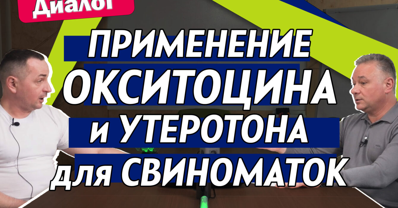Применение Окситоцина для свиноматок Применение Окситоцина для свиноматок