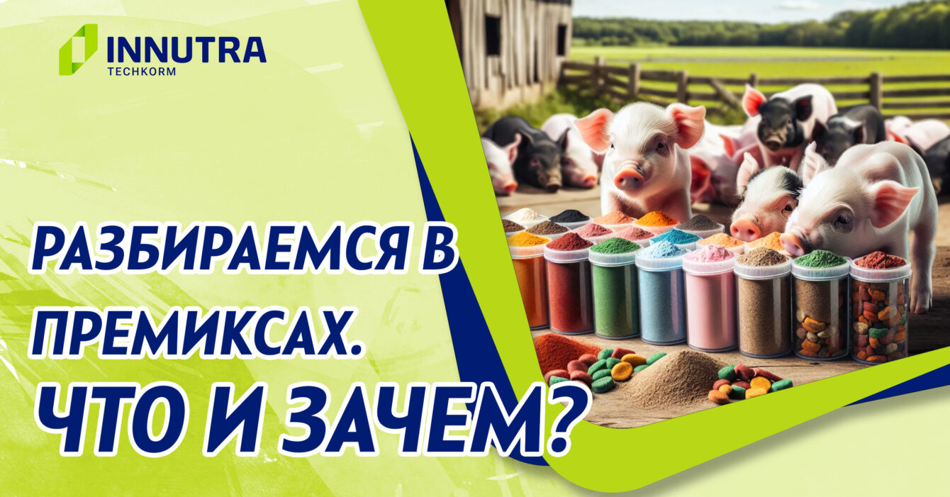 Что такое премиксы Что такое премиксы