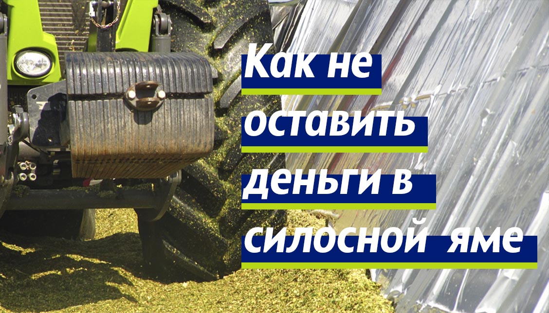 Как не оставлять деньги в силосной яме Как не оставлять деньги в силосной яме