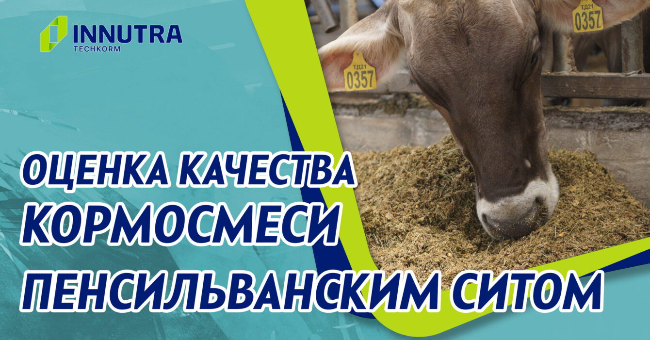 Оцениваем качество кормосмеси пенсильванским ситом Оцениваем качество кормосмеси пенсильванским ситом