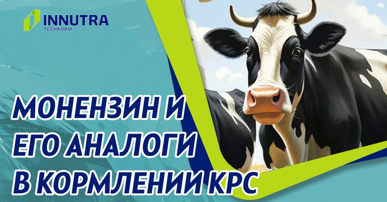 Монензин и его аналоги в КРС. Как правильно использовать. Монензин и его аналоги в КРС. Как правильно использовать.