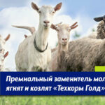 Премиальный заменитель молока для МРС