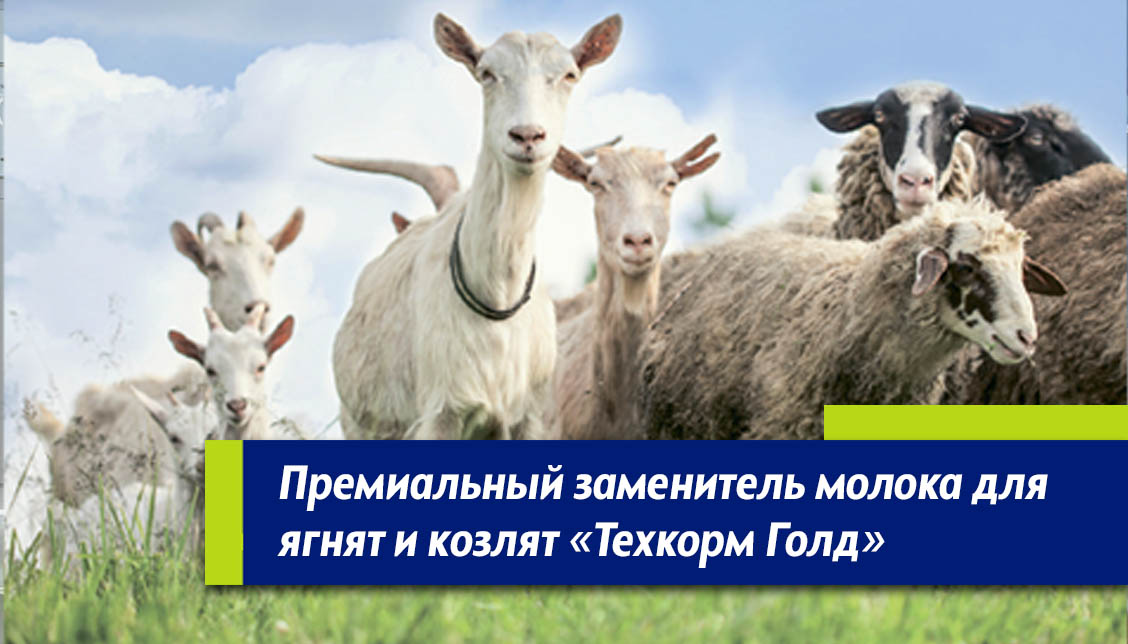 Премиальный заменитель молока для МРС