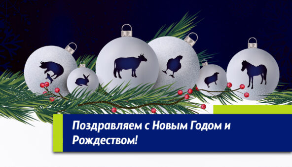 Поздравляем Вас с Новым Годом и Рождеством!