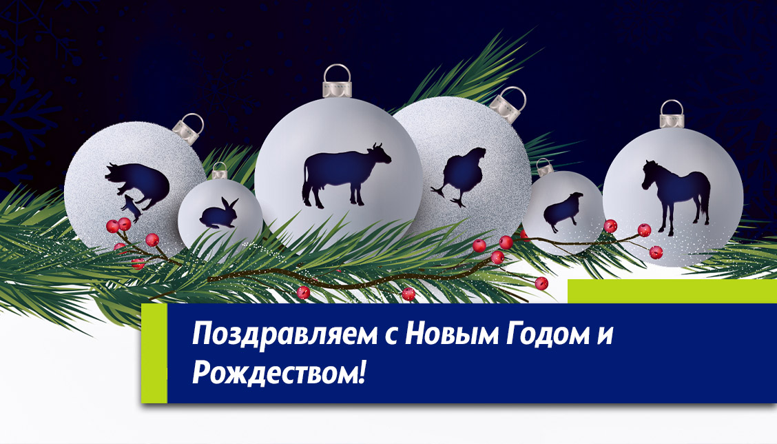 Поздравляем Вас с Новым Годом и Рождеством!