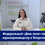 День поля в Татрстане