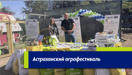 Агрофестиваль в Астрахани